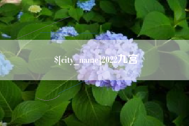 合肥2022九宫