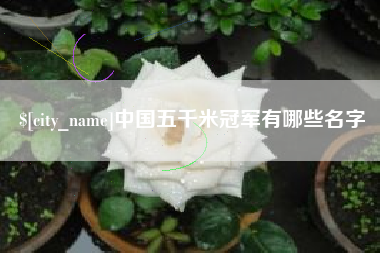 合肥中国五千米冠军有哪些名字