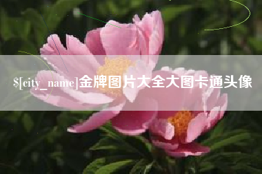 合肥金牌图片大全大图卡通头像