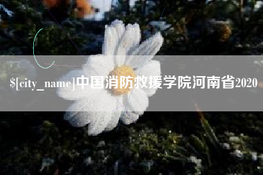 合肥中国消防救援学院河南省2020